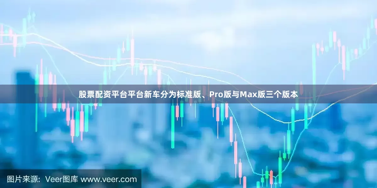 股票配资平台平台新车分为标准版、Pro版与Max版三个版本