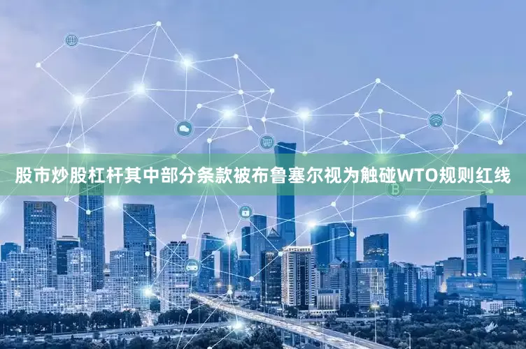 股市炒股杠杆其中部分条款被布鲁塞尔视为触碰WTO规则红线